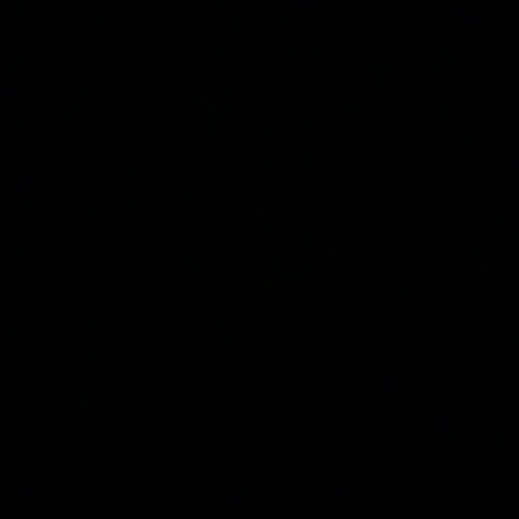 Meet your Posher, Brad - Picture 1 of 1